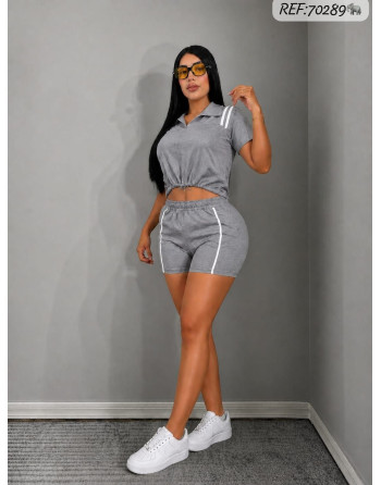 CONJUNTO GENE ZW